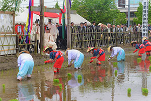 御田植祭