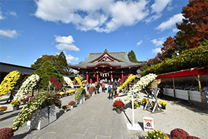 菊祭開催奉告祭